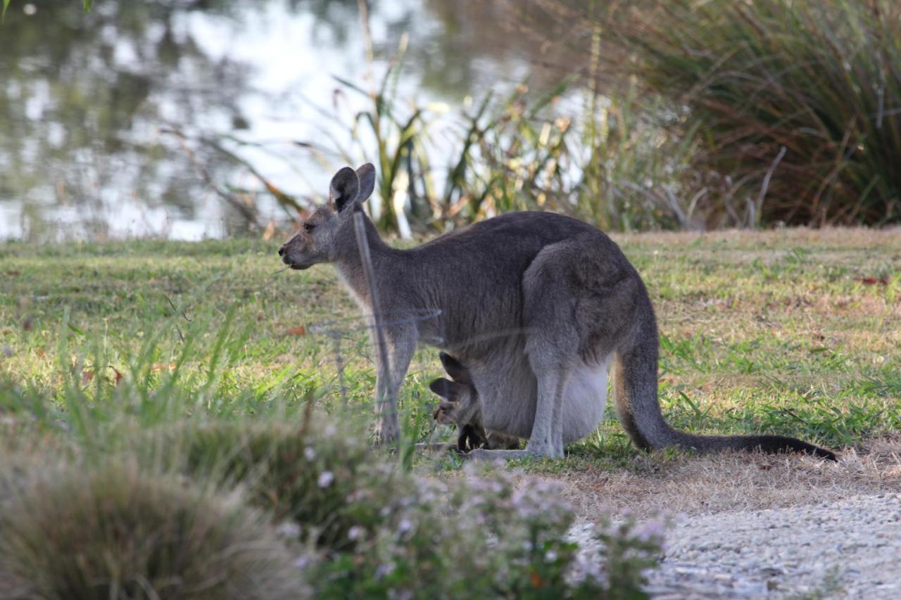 Messmates Luxury Eco Suites Inverloch Bagian luar foto